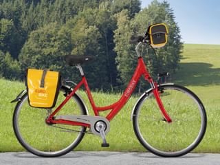 Eurobike Unisex-Leihrad mit 7 Gängen