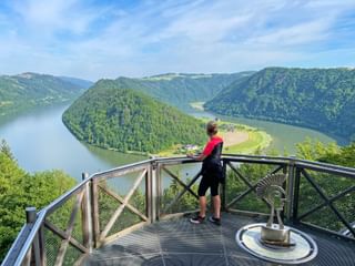 Cyclist looks out over the Schlögener Schlinge