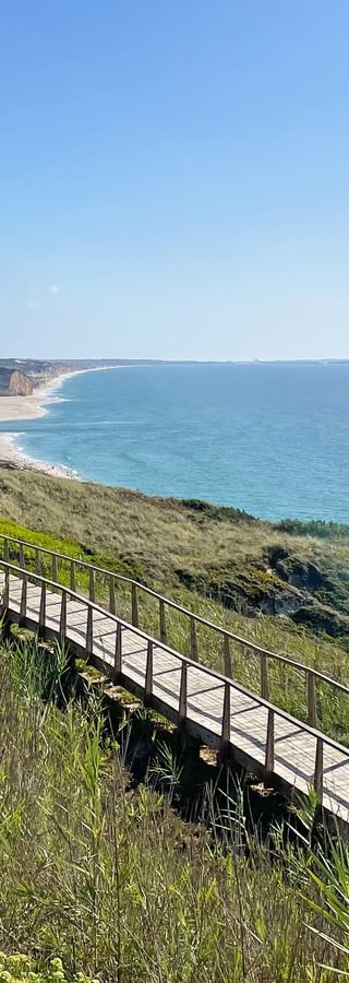 A wooden walkway on a leafy cliff with a view of houses and the sea