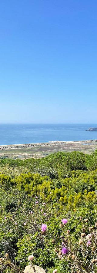 View of the Famalicao Coast
