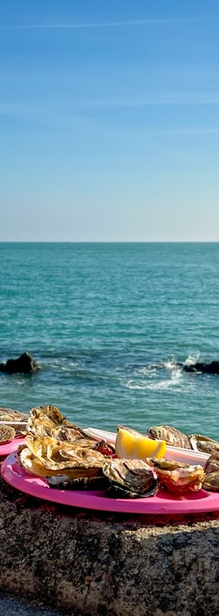 Frische Austern auf rosa Tellern mit Weißweingläsern und Flasche auf Steinmauer am türkisfarbenen Mittelmeer in Südfrankreich.
