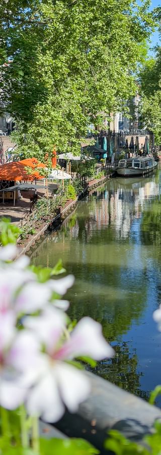 Weiße Blumen rahmen den Oudegracht-Kanal in Utrecht mit Booten entlang baumbestandener Ufer und historischen Gebäuden im Hintergrund.