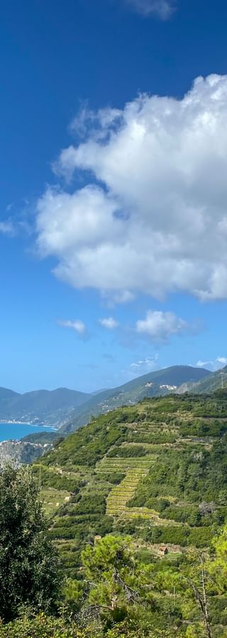 Gründe Landschaft mit Küste im Hintergrund