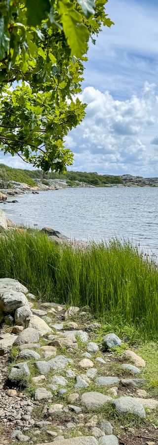 Küste in Stora Amundön