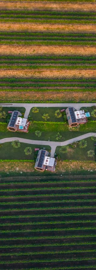 Aerial view of glamping huts arranged along a curved path between agricultural fields near Cividale del Friuli, with a pool visible.