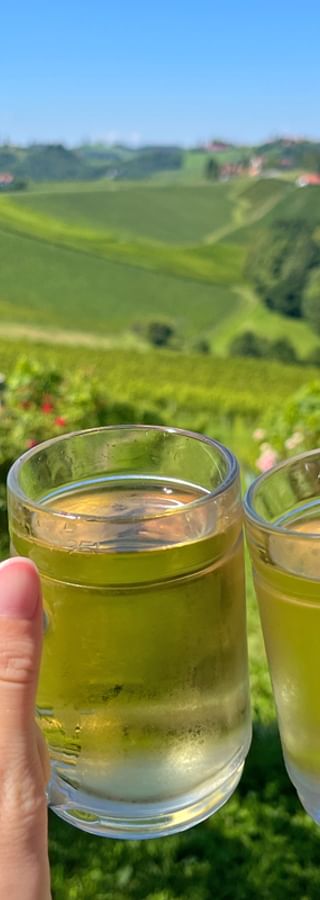 Two hands toasting with glasses of apple juice over vineyards in Gamlitz, South Styria. Rolling green hills and scattered houses under blue sky.