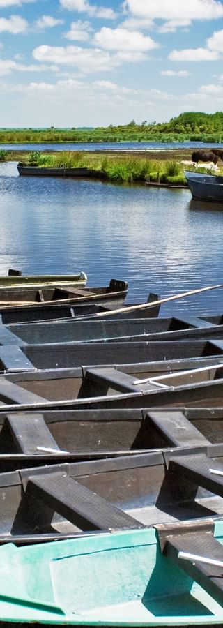 Boats line up along the shore in the Brère marshland