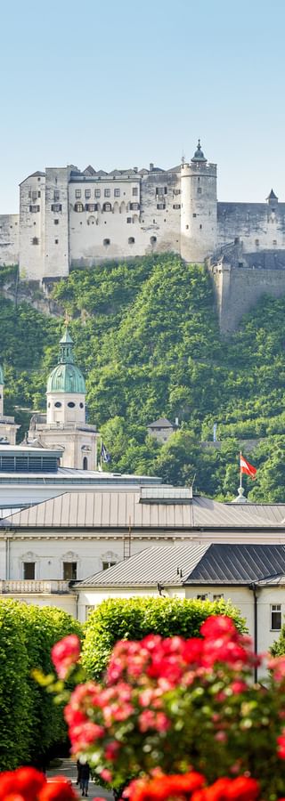 Hohensalzburg Fortress on a hilltop above Salzburg's old town with cathedral domes and red flowers in foreground under clear blue sky.