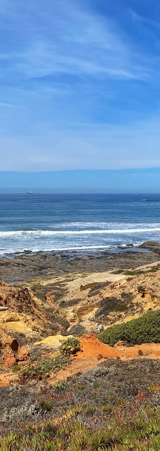 Coast with sea view