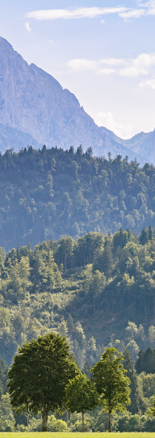 Nachhaltigkeits Header