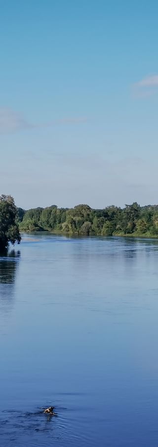 Flusslauf der Loire