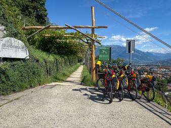 Bicycles parked at a railing on the Brandiswaalweg path with grape vine pergola, overlooking Meran valley and mountains under blue sky.