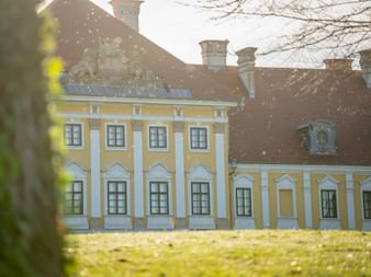 Gelbes barockes Schloss Eltz in Vukovar mit weißen Pilastern und braunem Ziegeldach, durch grünes Laub über eine sonnige Wiese betrachtet.