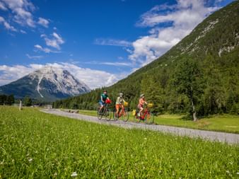 Three cyclists with panniers riding on paved path through green valley with snow-capped mountain peak and forested hills under blue sky.