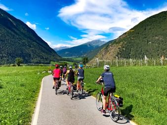 Cyclists cycle along the valley cycle path in South Tyrol