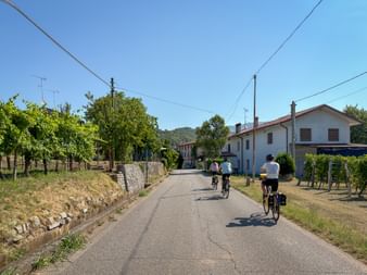 Three cyclists riding on a paved road through a small village with white houses, vineyards on both sides, and hills in the background.