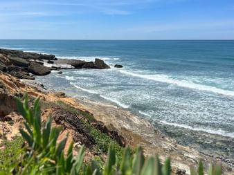 Coastal landscape in Portugal