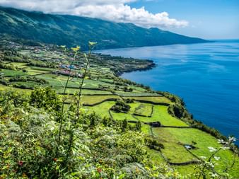 Küstenlandschaft auf der Insel Pico