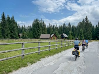 Three cyclists riding on a paved path on Pokljuka Plateau. Wooden fence, green meadow, traditional cabins, and dense conifer forest under blue sky.