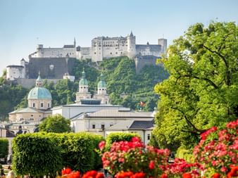 Hohensalzburg Fortress on a hilltop above Salzburg's old town with baroque church domes, framed by green trees and red flowers in foreground.