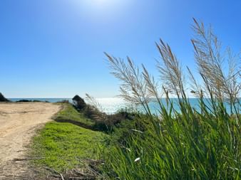 Coastal landscape in the Algarve