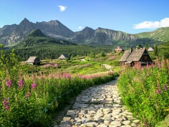 Stone path lined with pink wildflowers leading to wooden mountain huts in Hala Gasienicowa. Dramatic Tatra peaks rise behind green meadows.