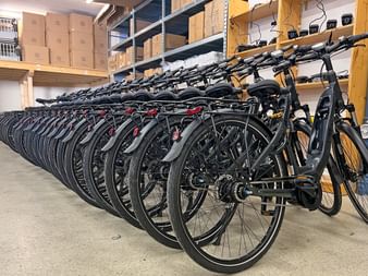 Our rental bikes in the bike store