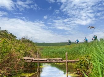 Cycle path inland