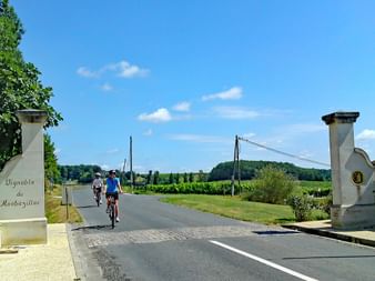 Cyclists in the Monbazillac wine-growing region