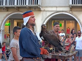 Falkner mit einem Falke auf einem Mittelalterfest