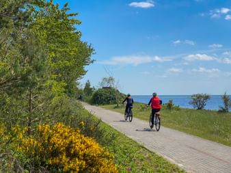 Two cyclists riding on a paved path along the Hel Peninsula coast. Yellow flowers bloom beside the path, with the Baltic Sea visible.