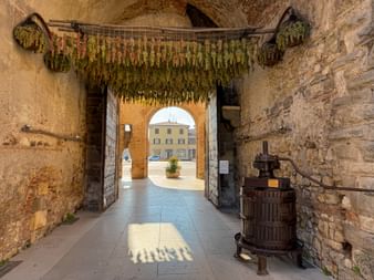 Arched gateway in Soave with grape bunches hanging to dry overhead. An antique wooden wine press stands on the right, with Piazza Cavalli visible through the arch.