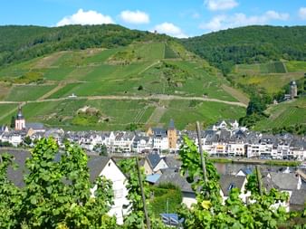 Moselle Zell