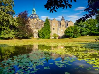 Schloss Bückeburg spiegelt sich in einem mit Seerosen bedeckten Teich. Das Sandsteinschloss mit grüner Kuppel ist von Bäumen und Rasen umgeben.