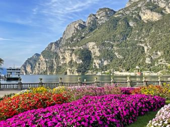 Blumen in Riva del Garda