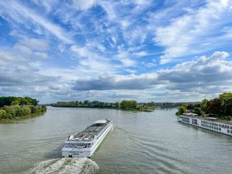 Zwei weiße Flusskreuzfahrtschiffe fahren auf dem Rhein bei Speyer. Grüne bewaldete Ufer rahmen den breiten Fluss unter blauem Himmel mit Wolken.