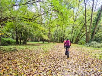 Radfahrer in rosa Jacke fährt durch einen von Bäumen gesäumten Weg voller Herbstlaub in Katalonien, umgeben von üppigem Grün.