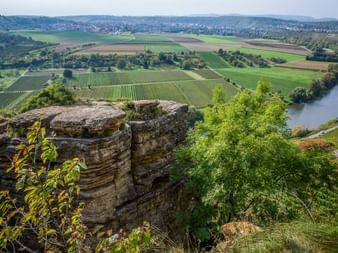 Panoramablick von Hessigheimer Felsen über Neckartal mit Weinbergen, Feldern, Flussbiegung und fernen Hügeln.