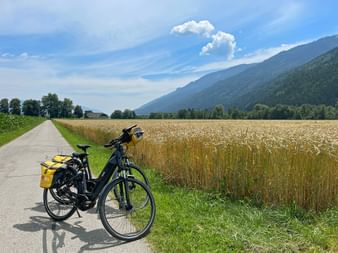 Eurobike rental bikes in front of fields at Drauhofen