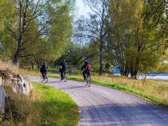 Cycling trail in Sweden