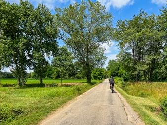 Radfahrer auf einem geraden asphaltierten Weg, gesäumt von hohen Bäumen und grünen Feldern unter blauem Himmel mit weißen Wolken bei Mantua.