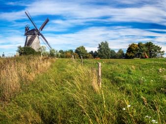 Historische Windmühle mit weißen Wänden und dunkler Kappe steht in grüner Wiese unter blauem Himmel auf der Insel Usedom in der Ostsee.