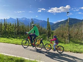 Family cycling past apple orchards