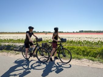 Zwei Radfahrer mit Helmen machen Pause auf einem Weg neben bunten Tulpenfeldern in Holland unter blauem Himmel.