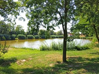 Break at a pond in Dunaszeg
