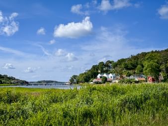 Sattgrüne Landschaft in Guntoftavägen, Särö
