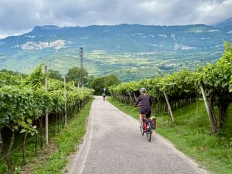 Two cyclists riding through vineyard rows on the Etsch bike path near Meran, with green mountains in the background under cloudy skies.