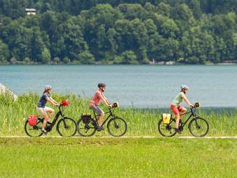 Drei Radfahrer mit Helmen und Packtaschen fahren am Weserradweg entlang, mit grüner Wiese, Schilf und bewaldetem Hang im Hintergrund.