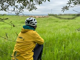 Aktivurlauberin sitzt im Gras und blick auf Schafe in Arezzo