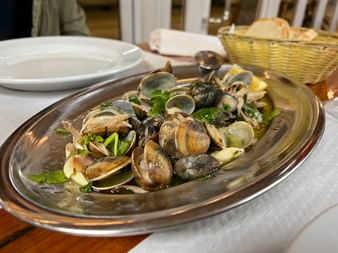 Ovale Metallplatte mit portugiesischen Venusmuscheln und Miesmuscheln, garniert mit frischem Koriander, serviert auf weißer Tischdecke.